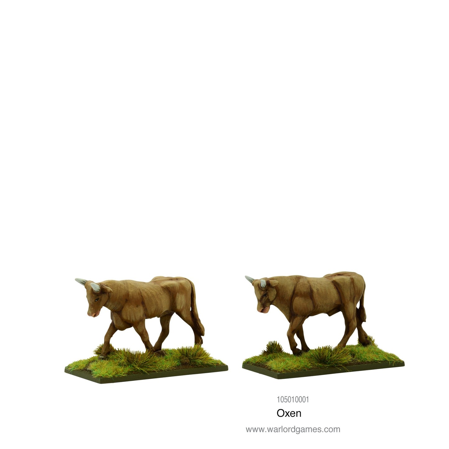 Pike & Shotte: Oxen