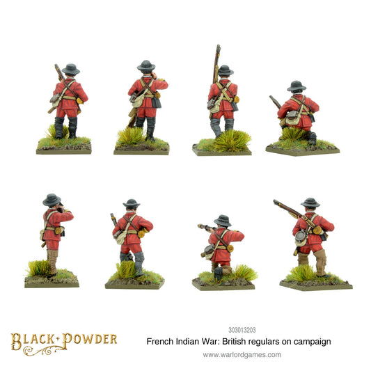 Black Powder: British Regulars on Campaign