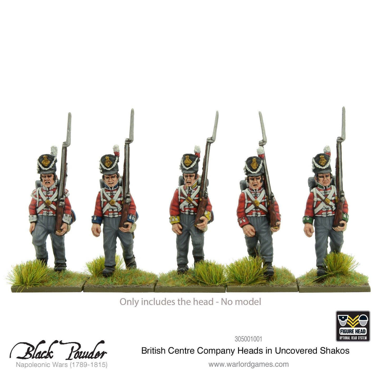 Black Powder: British - 25x Napoleonic British Centre Company heads in uncovered Shakos