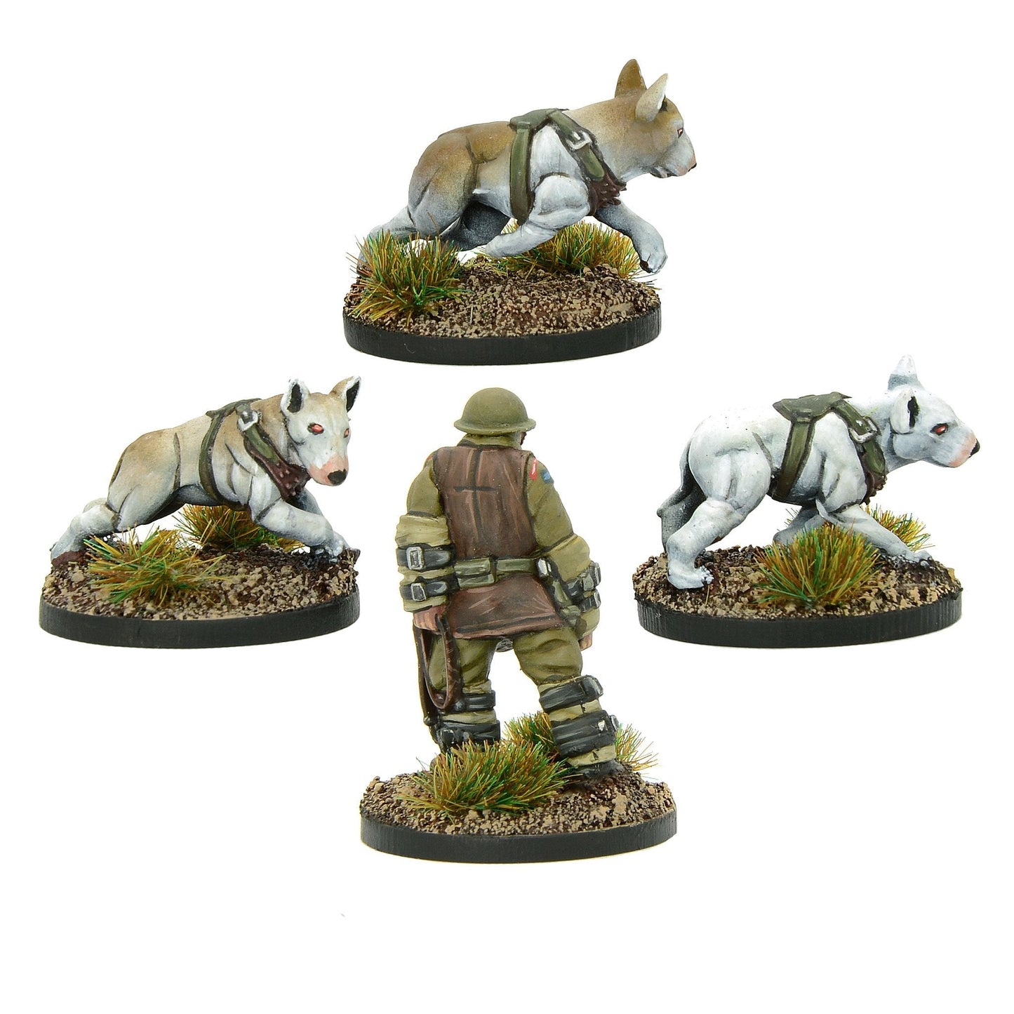 Konflikt '47: British Commonwealth - Cerberus Squad 2