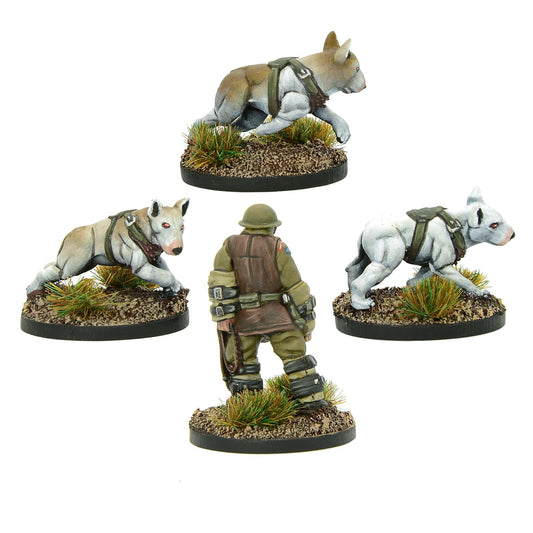 Konflikt '47: British Commonwealth - Cerberus Squad 2