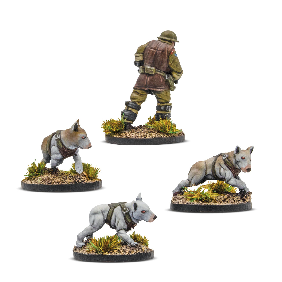 Konflikt '47: British Commonwealth - Cerberus Squad 1