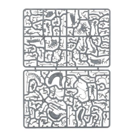 Khainite Shadowstalkers