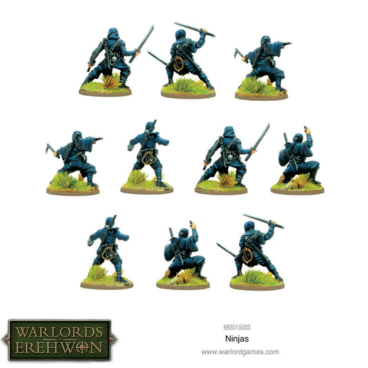 Pike & Shotte: Feudal Japan 1467-1603 - Ninja