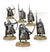 CITADEL GUARD