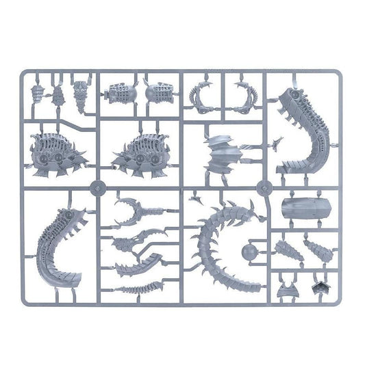 Mawloc / Trygon