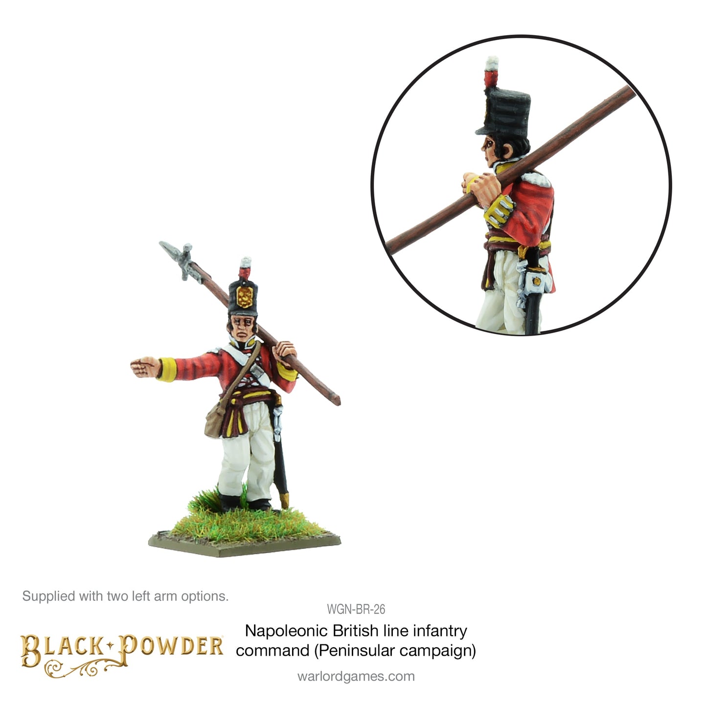 Black Powder: British - Napoleonic British Line Infantry command (Pensinsular War)