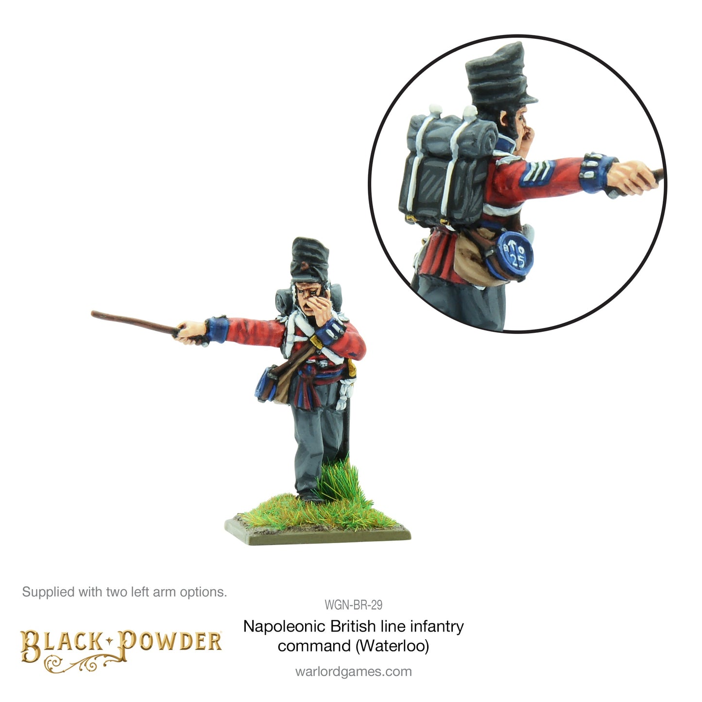 Black Powder: British - Napoleonic British Line Infantry command (Waterloo campaign)