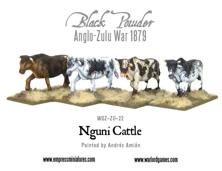 Black Powder: Nguni Cattle