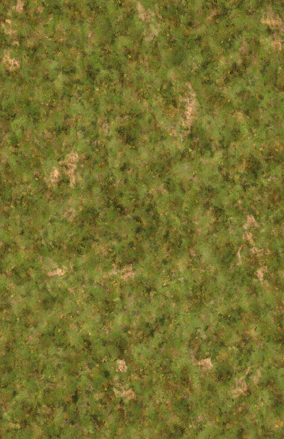 Pike & Shotte: Grassland Gaming Mat 6’x4’/183x122cm