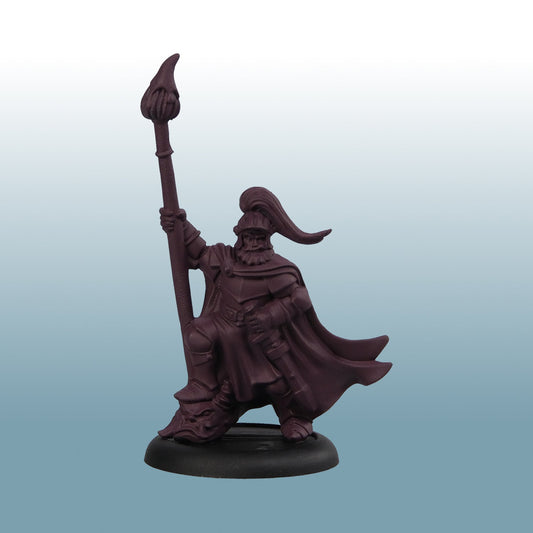Two Thin Coats: Royal Cloak - Image 2
