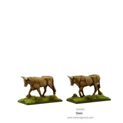 Pike & Shotte: Oxen