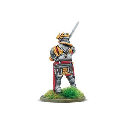 Hail Caesar: War of the Roses (1455-1485) - The Wars of the Roses - Hail Caesar Supplement with Richard III, King Of England Special Miniature