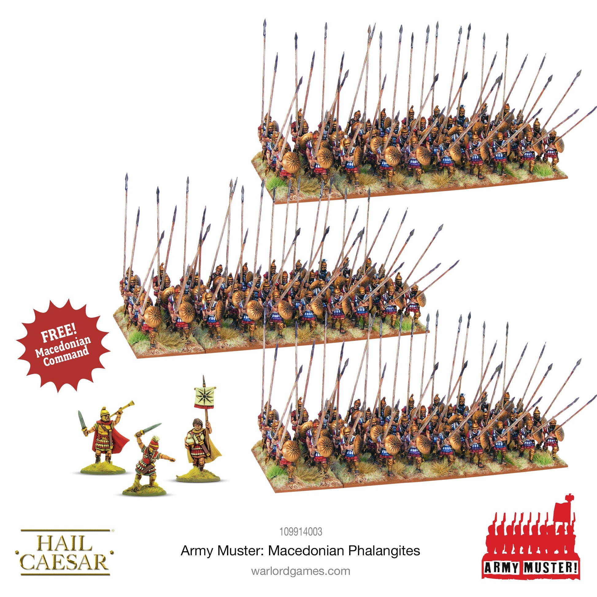 Hail Caesar: Army Muster: Macedonian Phalangites