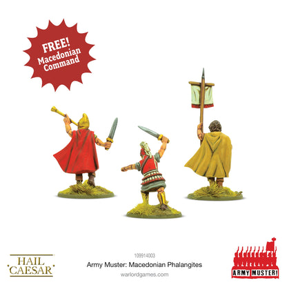 Hail Caesar: Army Muster: Macedonian Phalangites