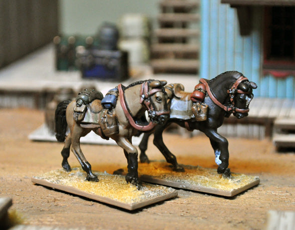 DMH - Riderless horses
