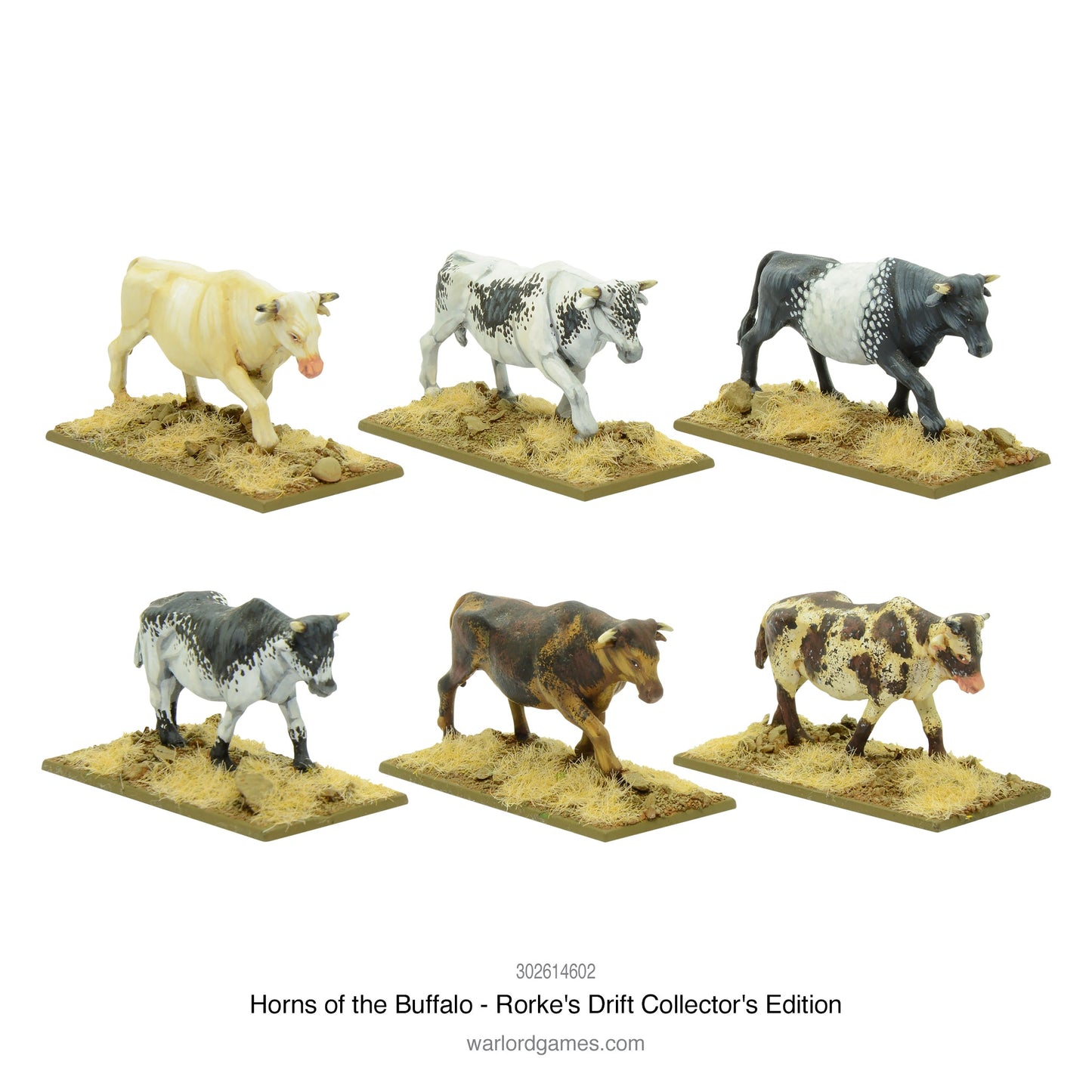 Black Powder: Horns of the Buffalo - Rorke's Drift collectors edition