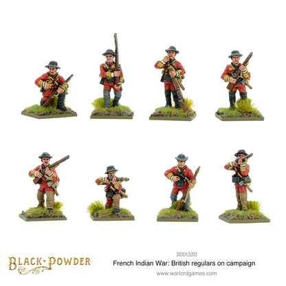 Black Powder: British Regulars on Campaign
