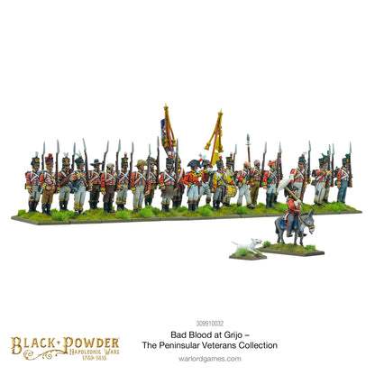 Black Powder: British - Bad Blood at Grijo – The Peninsular Veterans Collection