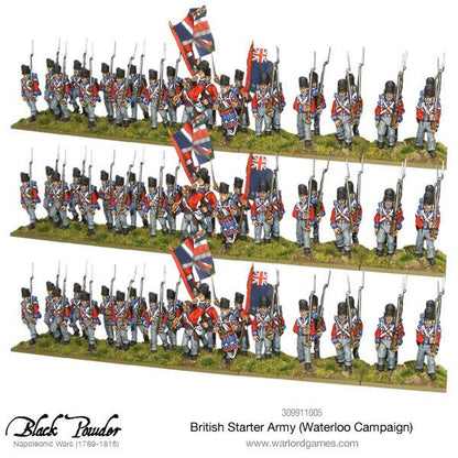 Black Powder: British - Napoleonic British starter army (Waterloo campaign)
