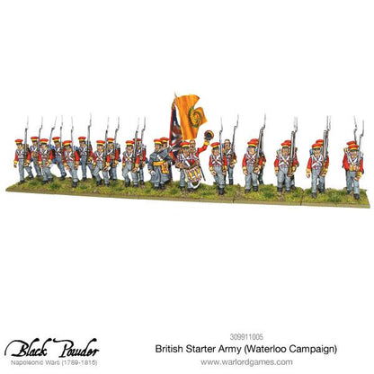Black Powder: British - Napoleonic British starter army (Waterloo campaign)
