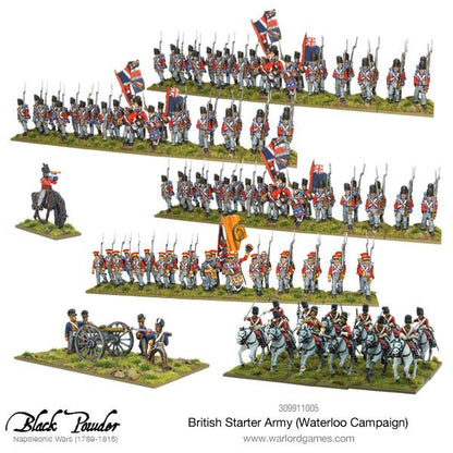 Black Powder: British - Napoleonic British starter army (Waterloo campaign)