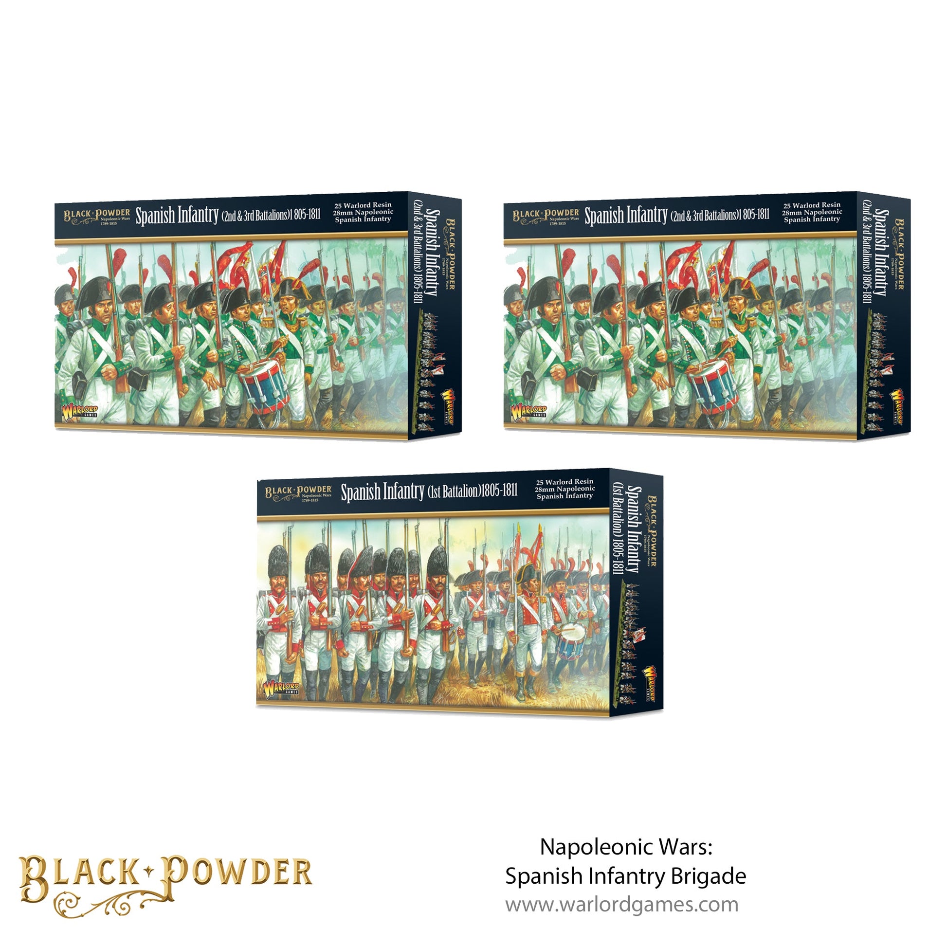 Black Powder: Battle of Baylen - Napoleonic Spanish Infantry Regiment