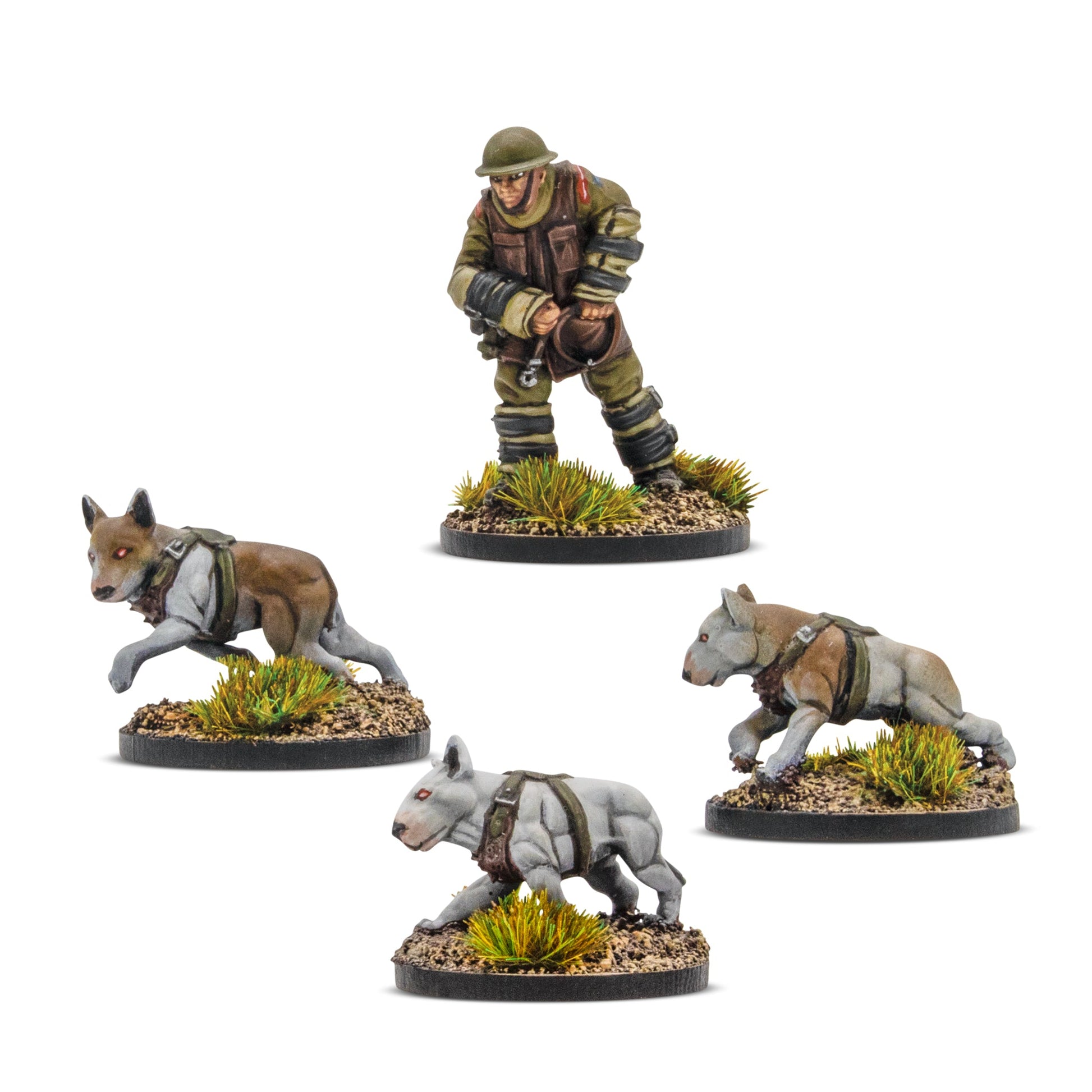 Konflikt '47: British Commonwealth - Cerberus Squad 1