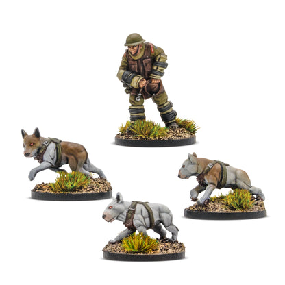 Konflikt '47: British Commonwealth - Cerberus Squad 1