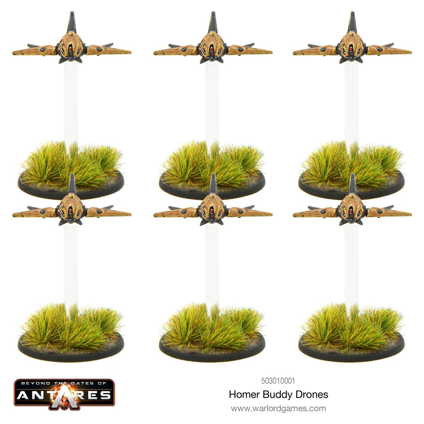Gates of Antares: Algoryn - Homer Drone Shard