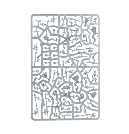 Cryptguard