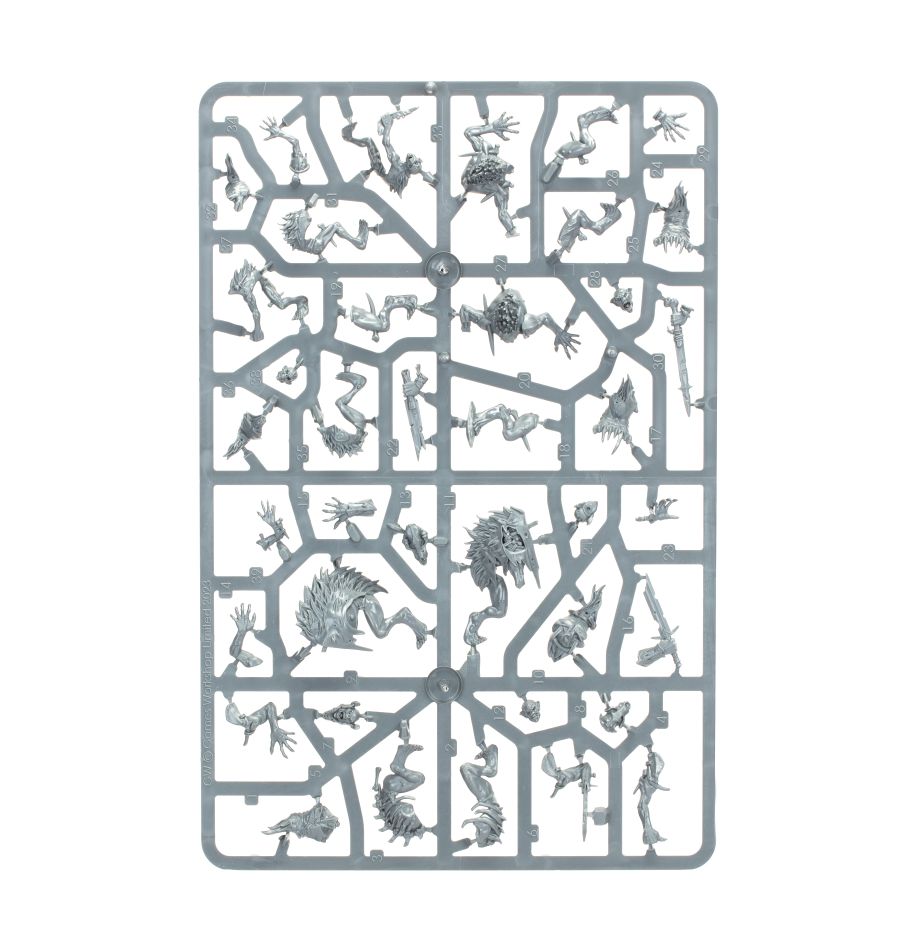 Warcry: Royal Beastflayers