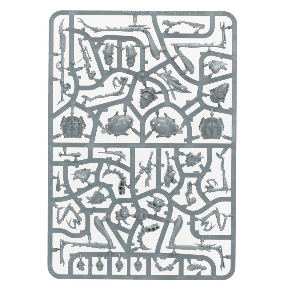 Ash Waste Nomads Dustback Helamites