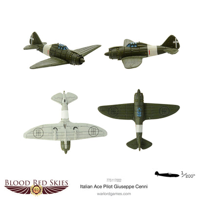 Blood Red Skies: Regia Aeronautica - Italian Ace Pilot: Giuseppe Cenni