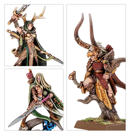 Wood Elf Nobles
