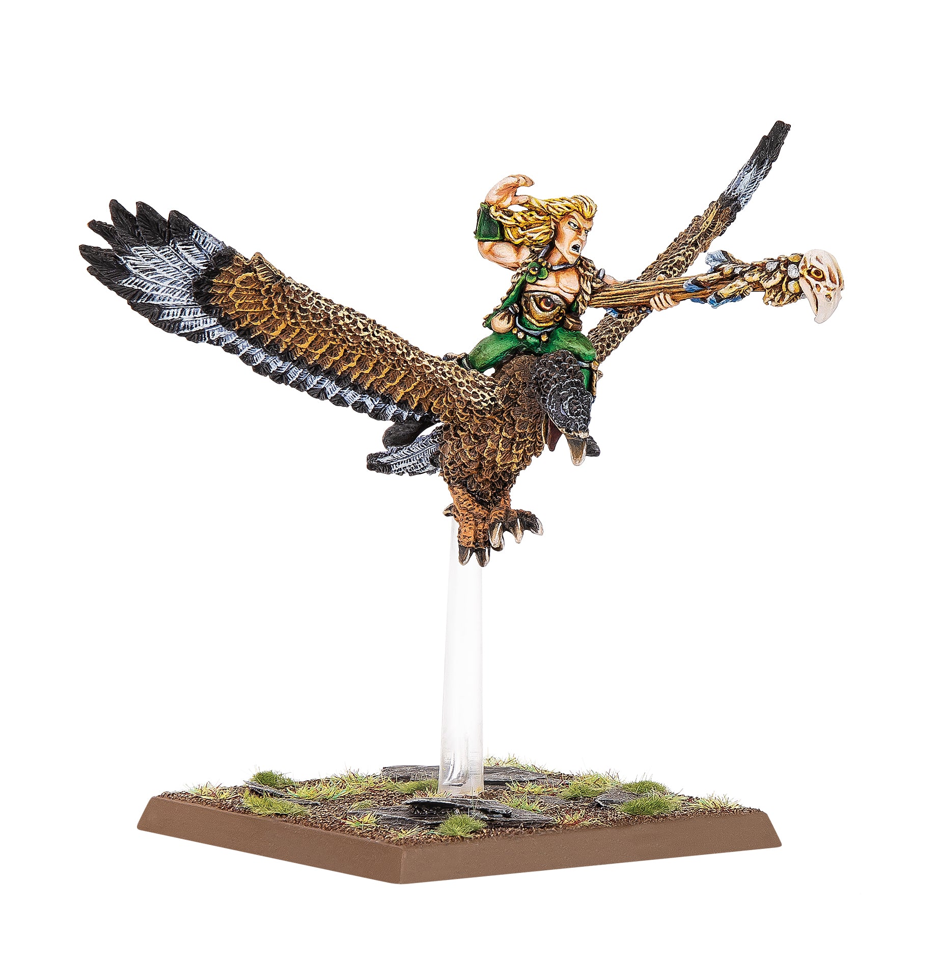 Wood Elf Mage on Warhawk
