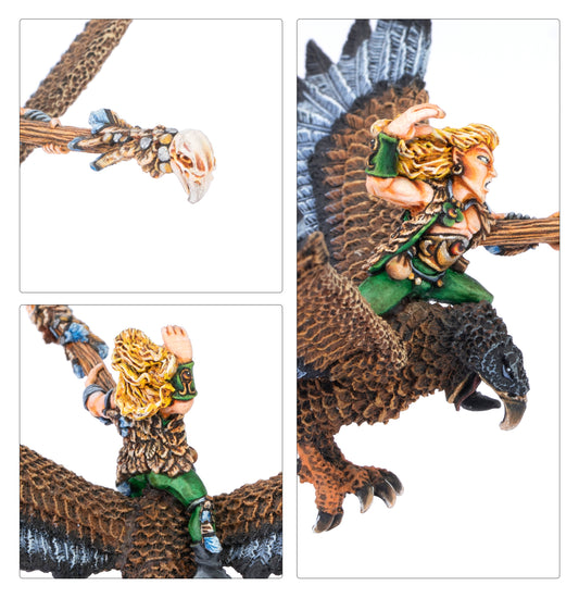 Wood Elf Mage on Warhawk