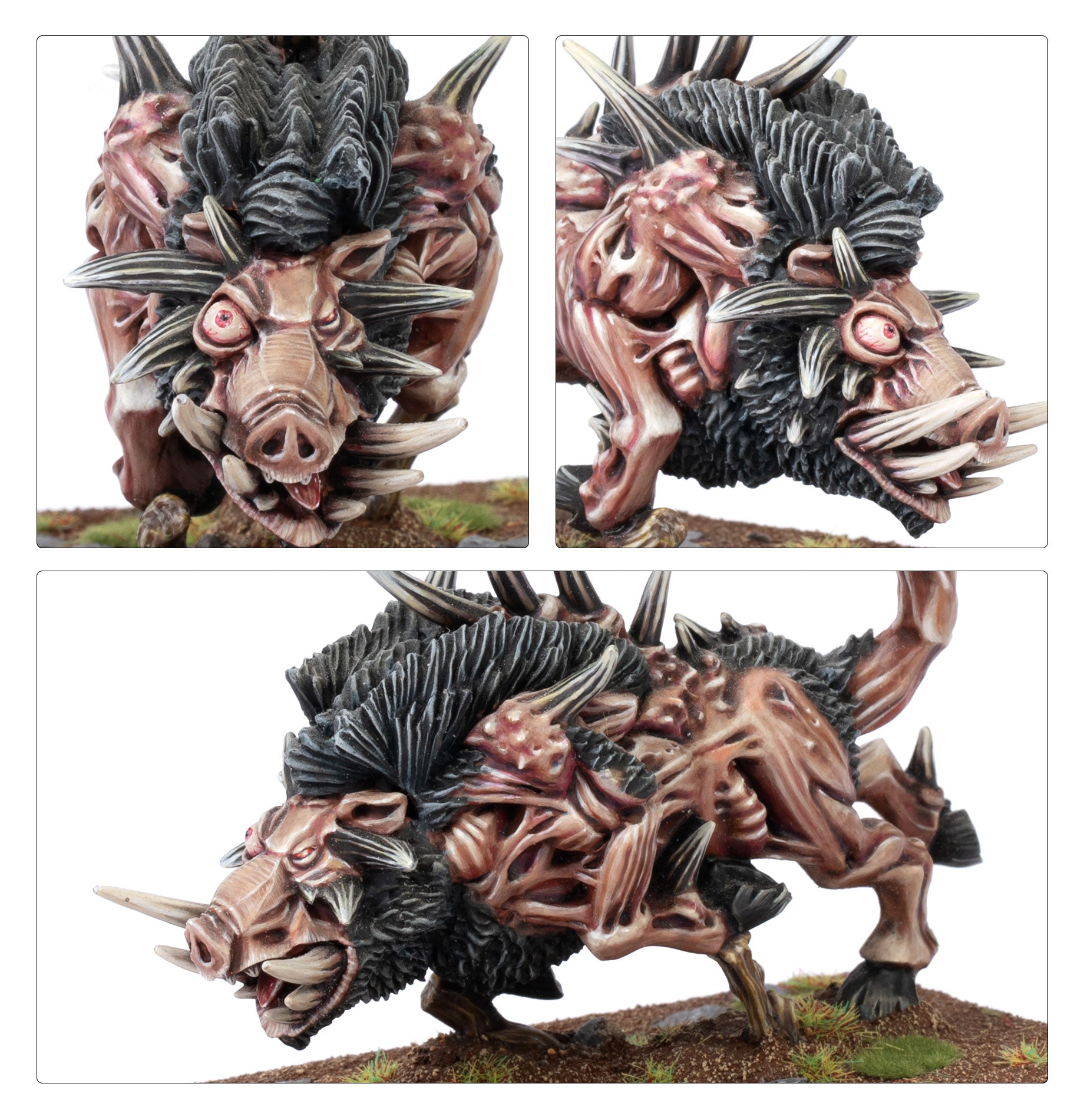 Razorgor