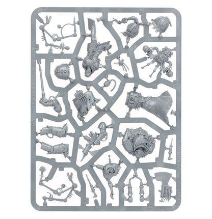 Fabius Bile