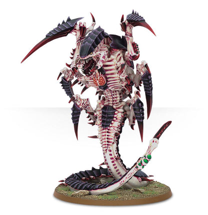 Mawloc / Trygon
