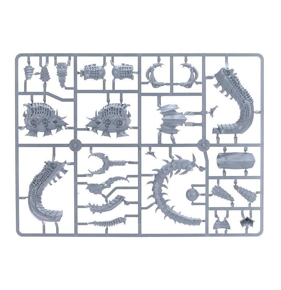 Mawloc / Trygon