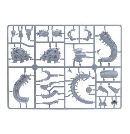 Mawloc / Trygon