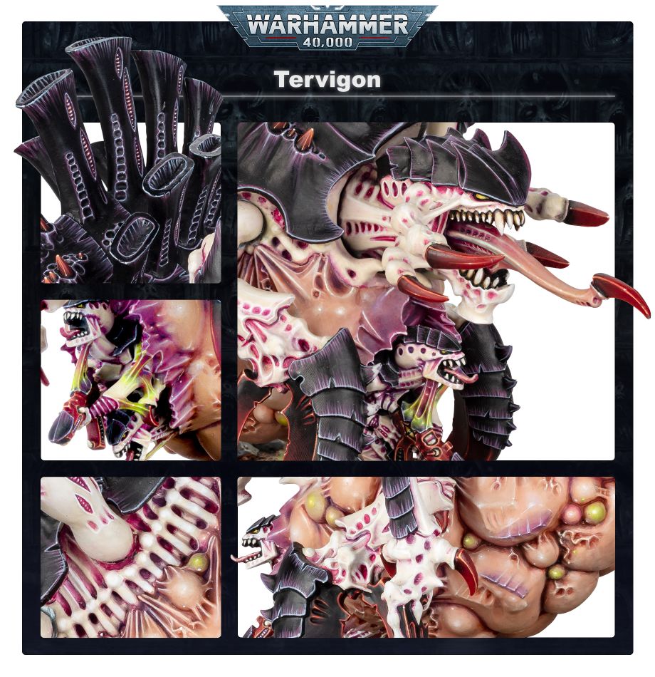 Tervigon / Tyrannofex