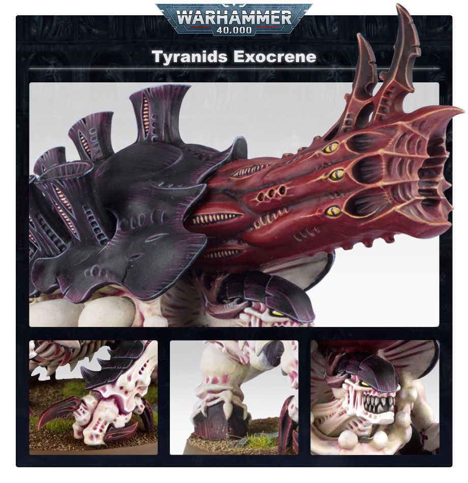 Exocrine / Haruspex