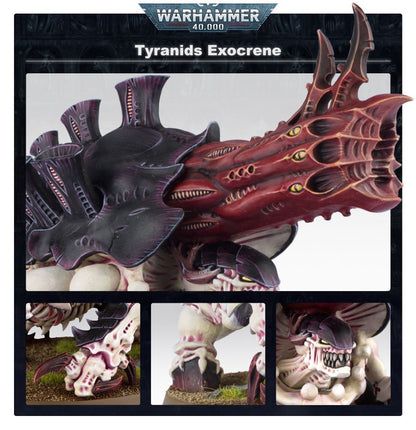 Exocrine / Haruspex