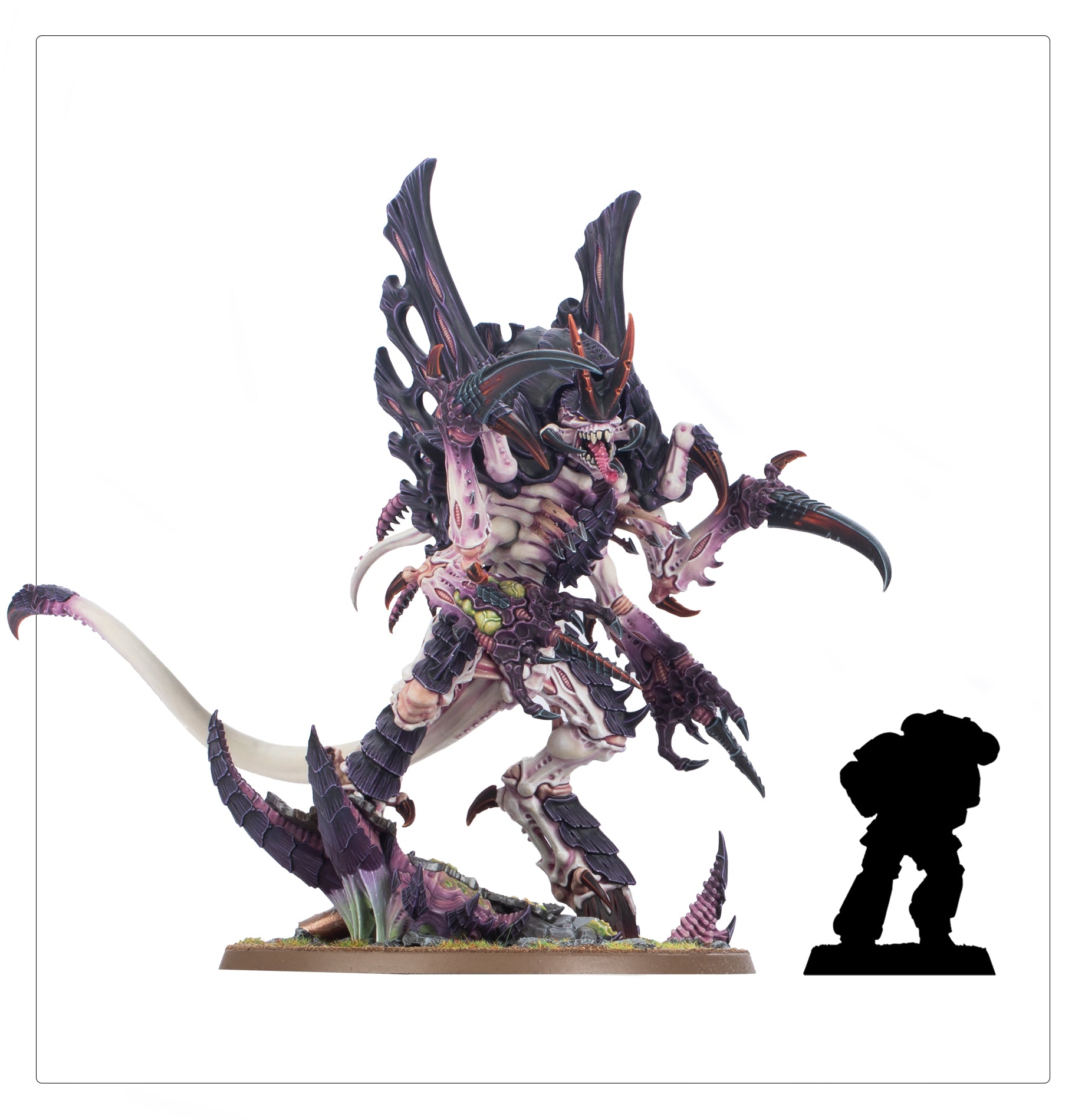 Norn Assimilator / Norn Emissary
