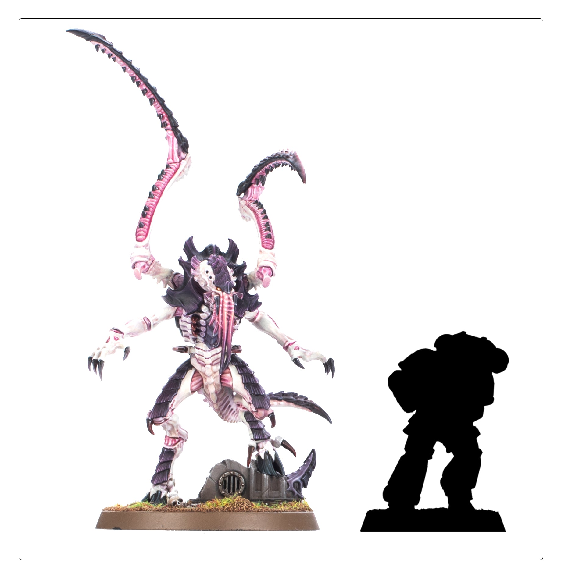 Lictor