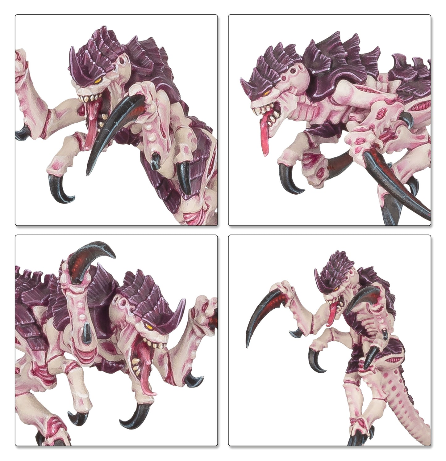 Battleforce: Tyranid Swarm