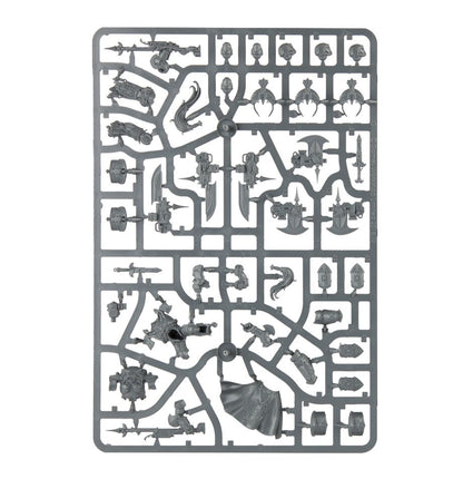 Allarus Custodians / Shield-Captain in Allarus Terminator Armour / Vexilus Praetor in Allarus Terminator Armour