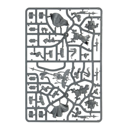 Allarus Custodians / Shield-Captain in Allarus Terminator Armour / Vexilus Praetor in Allarus Terminator Armour